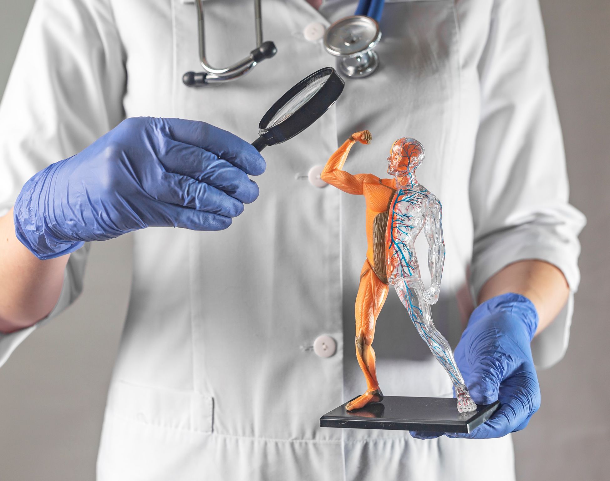 Damarları təmizləyən 6 qida