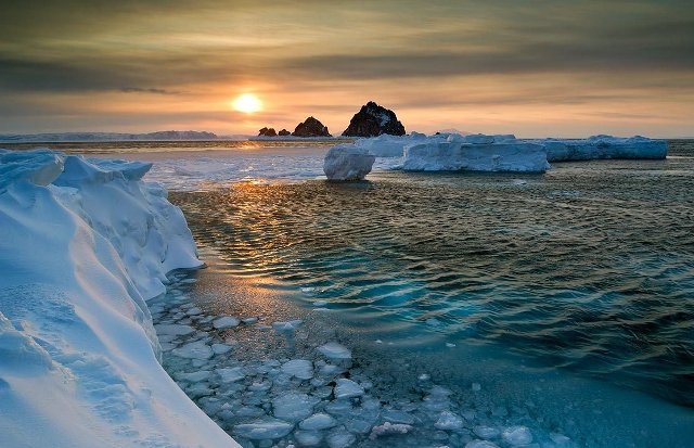 Alimlər Oxot dənizinin 