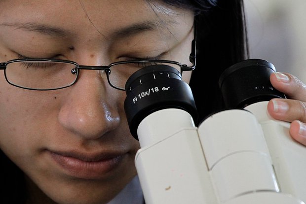 2-ci tip diabetin müalicəsi üçün yeni dərmanlar hazırlanacaq