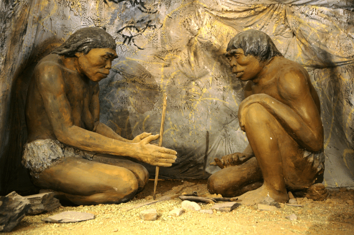 Homo erektusun nəsli Avropada soyuq iqlimə görə kəsilib