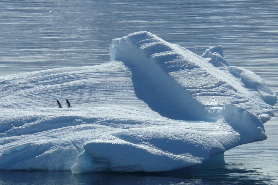 Antarktidada araşdırma aparan alimlər dəhşətli nəticələr ortaya çıxardı