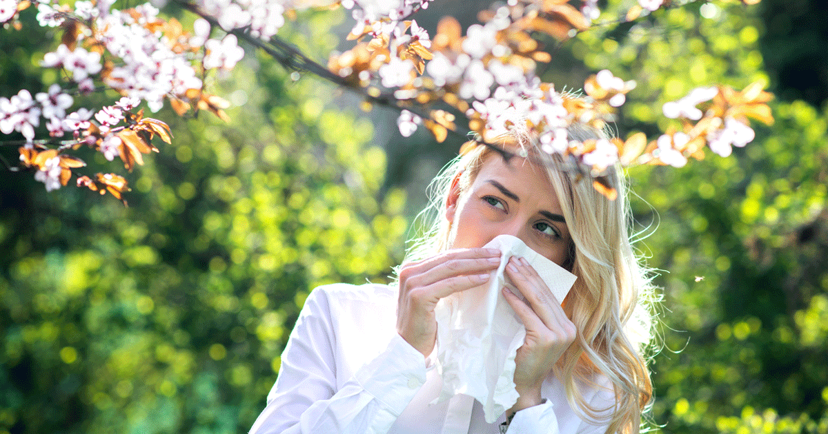 Ot qızdırması -Yetkinlərdə allergik rinit və səbəb olduğu fəsadlar