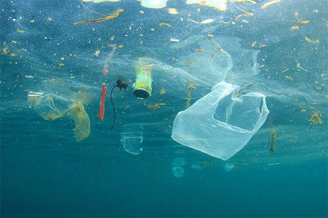 Tədqiqat okeanın dibinin plastik çirklənmə üçün 