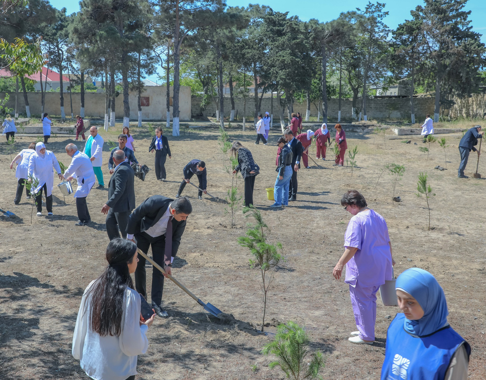 Tibb müəssisələrində “Təbiəti də sağaldaq” adlı ağacəkmə aksiyaları davam etdirilir   