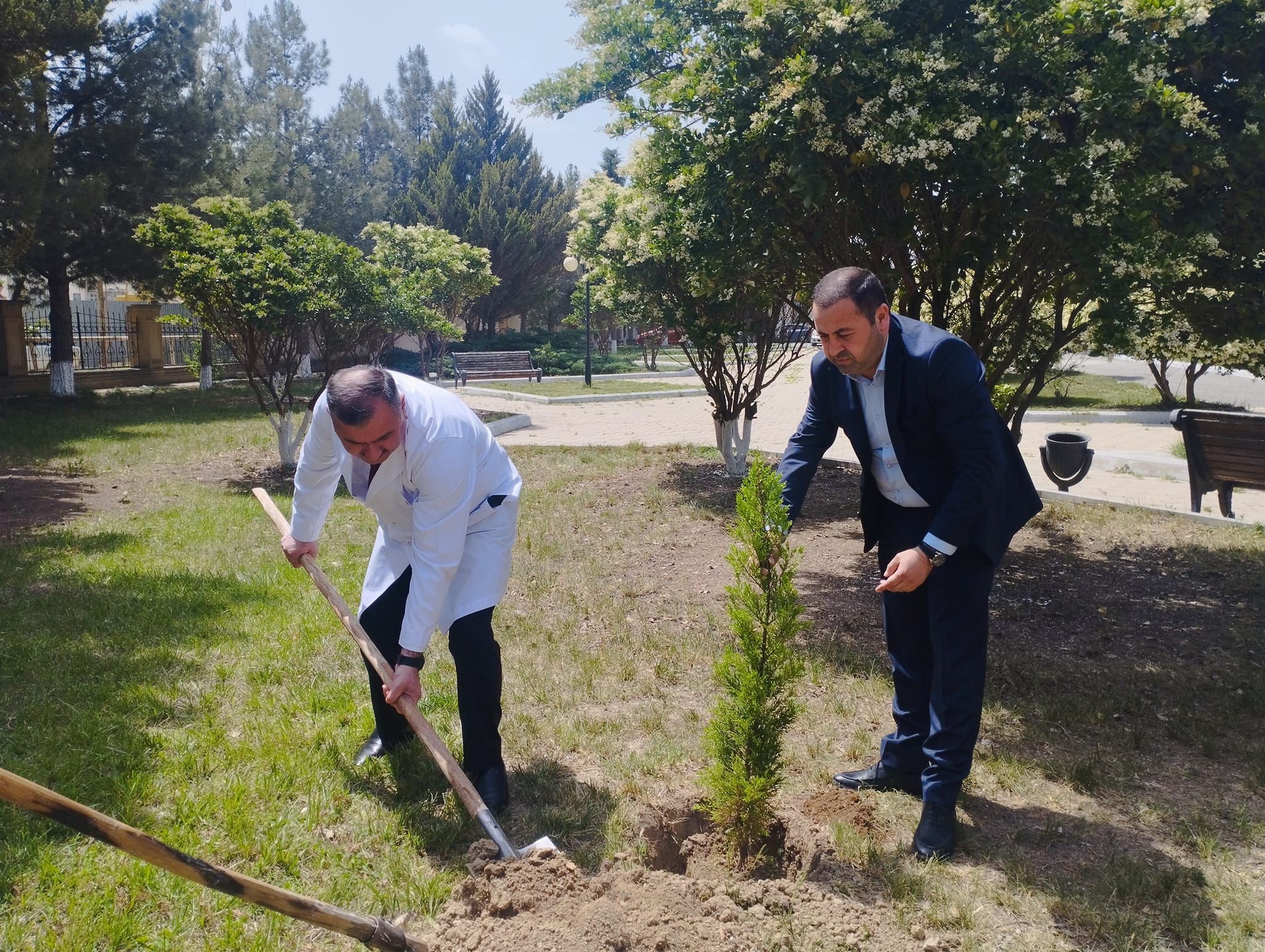  Şirvan Şəhər Mərkəzi Xəstəxanasında ağacəkmə aksiyası keçirilib   