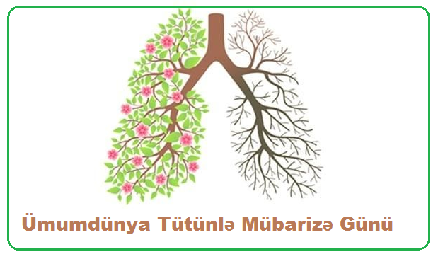 Ümumdünya Tütünlə Mübarizə Günü - ÜST hökumətləri nikotin asılılığı ilə fəal mübarizə aparmağa çağırır