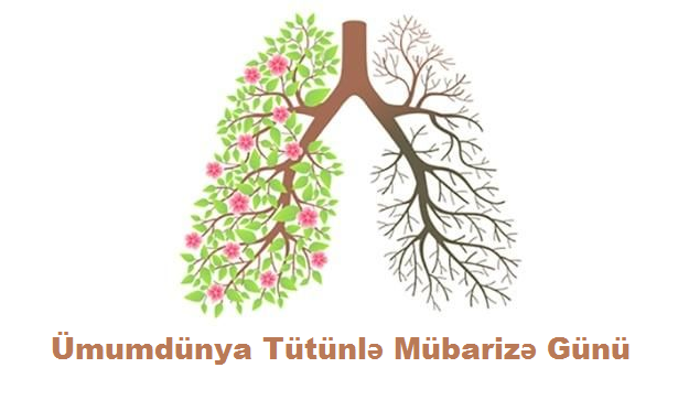 31 may 2024-cü il - Ümumdünya Tütünlə Mübarizə Günü