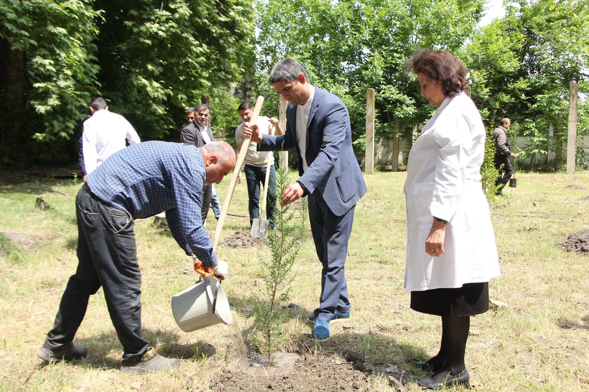 Ağdaş RMX-da 120-dən çox şam ağacı əkilib