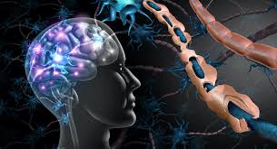 Dağınıq skleroz riski olan insan üçün nevroloq ilk simptomları sadalayıb