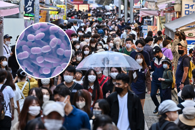 Yaponiyada hemolitik streptokoklara yoluxanların sayı rekord səviyyədə artır