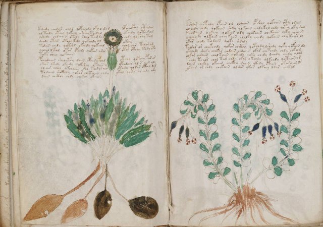 Süni intellekt qədim əlyazmaları öyrənməyə kömək edəcək