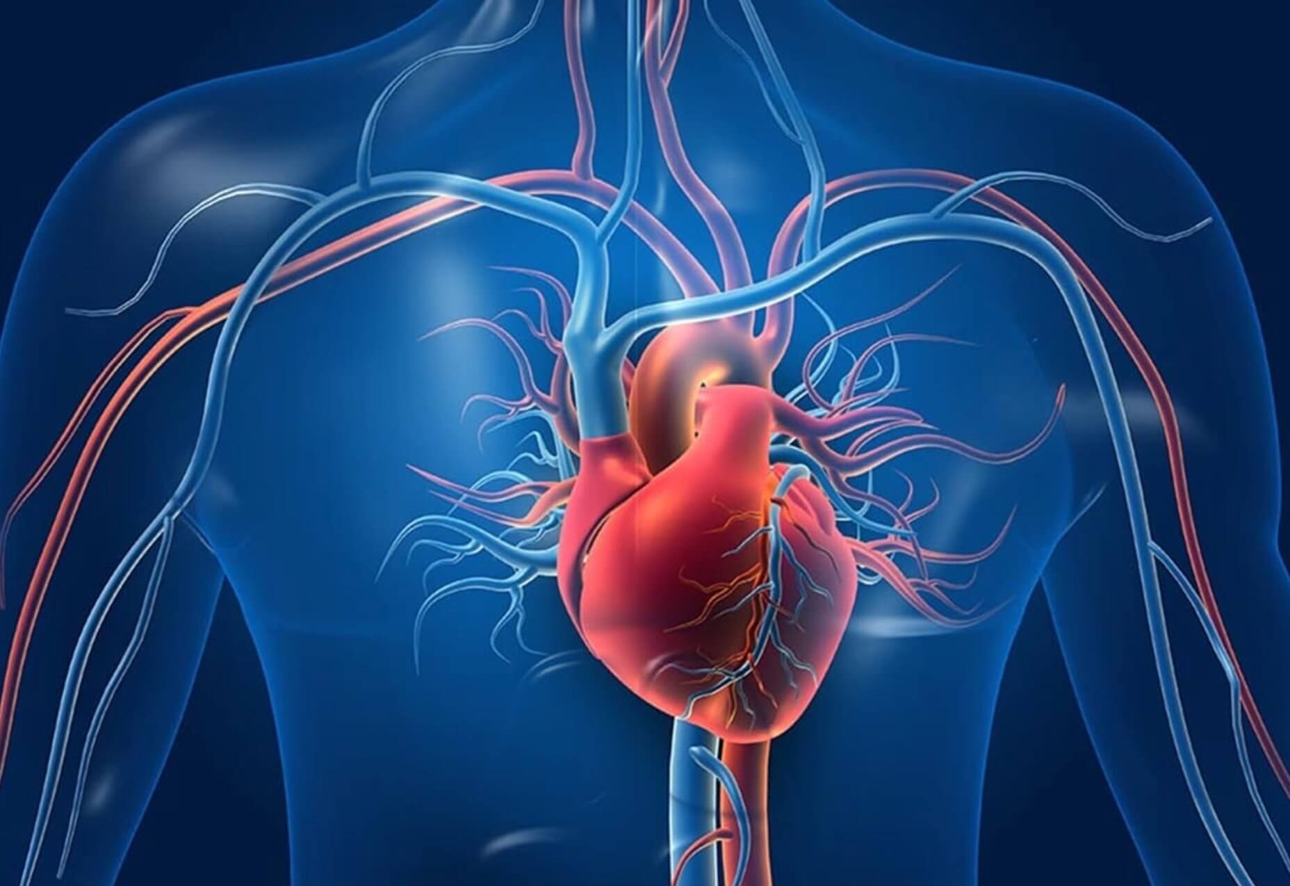 Bypass əməliyyatı pasiyentləri daha uzun və komfortlu həyatla təmin edir