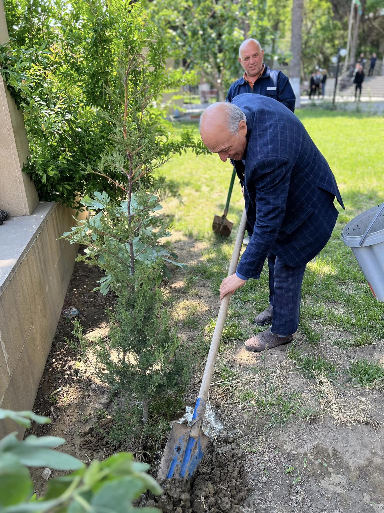 Elmi-Tədqiqat Tibbi Bərpa İnstitutunun həyətyanı sahəsində müxtəlif növ ağaclar əkilib