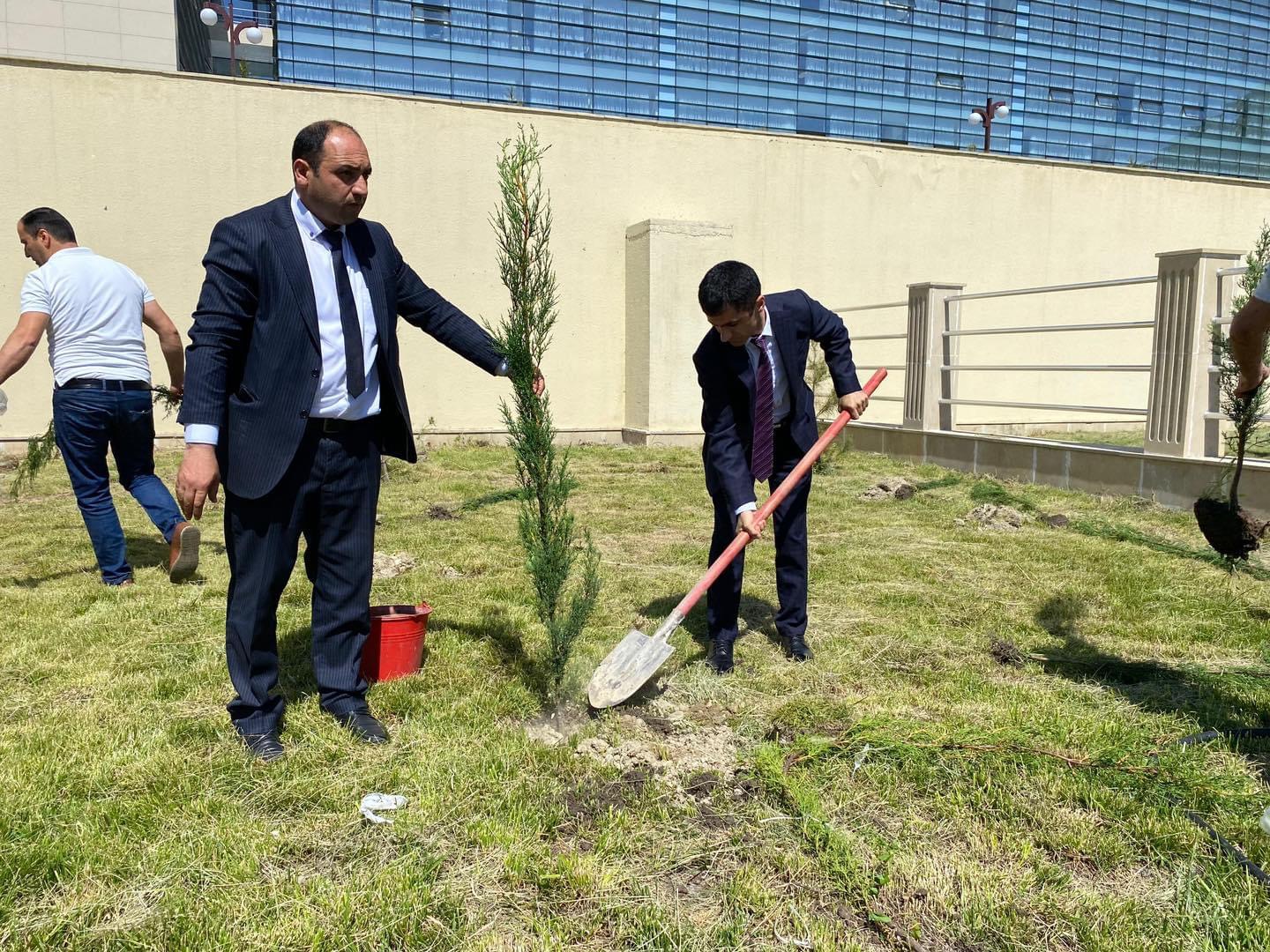 TƏBİB müəssisələrində ağacəkmə aksiyalarının keçirilməsi davam etdirilir