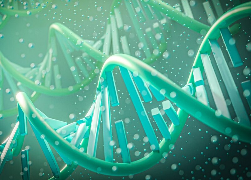 Science.org: Qadınlarda qeyri-aktiv X xromosomu onların daha uzun yaşamasına kömək edir