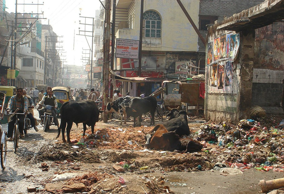 Dünyanın ən çirkli havası olan şəhərinin sakinləri tənəffüs yolları xəstəlikləri ilə mübarizə aparır  