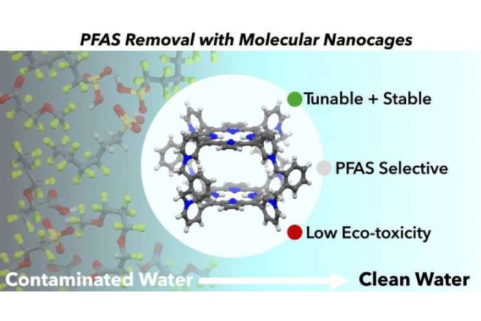 Molekulyar nanokapsullar PFAS maddələrinin 80–90 faizini sudan təmizləyə bilir  