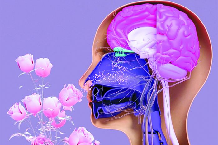 Zəkalı olmağın sirri