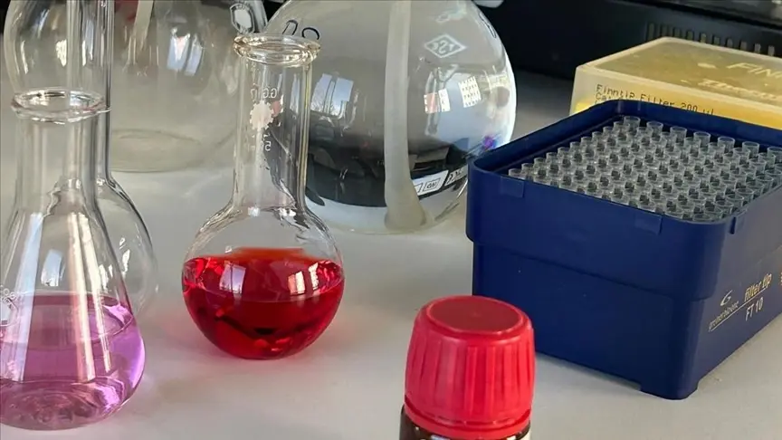 Qara zirə yağının radioterapiya və kimyaterapiya ilə xərçəng hüceyrələrini öldürdüyü aşkar edilib