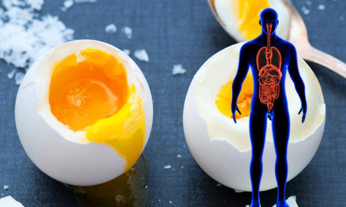 Hər gün yumurta yesək, nə baş verər?