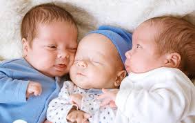 Bu il Azərbaycanda 42 üçəm doğulub  