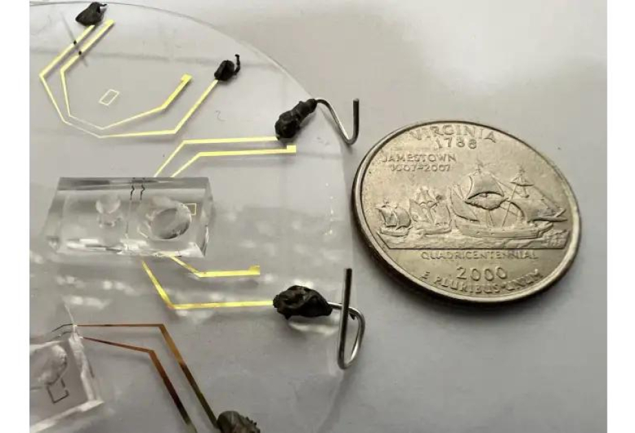 Qandan nadir gen mutasiyalarını aşkarlayan portativ cihaz hazırlanıb