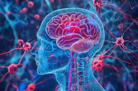 Şəkər əvəzedicisi beyin damarlarına zərər verə və insult riskini artıra bilər - TƏDQİQAT