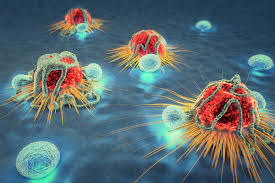 Hüceyrə terapiyası bərk şişlərə qarşı ümidverici nəticələr göstərib