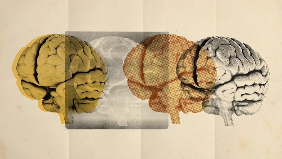 Autizmin dörd yeni növü aşkar edilib  