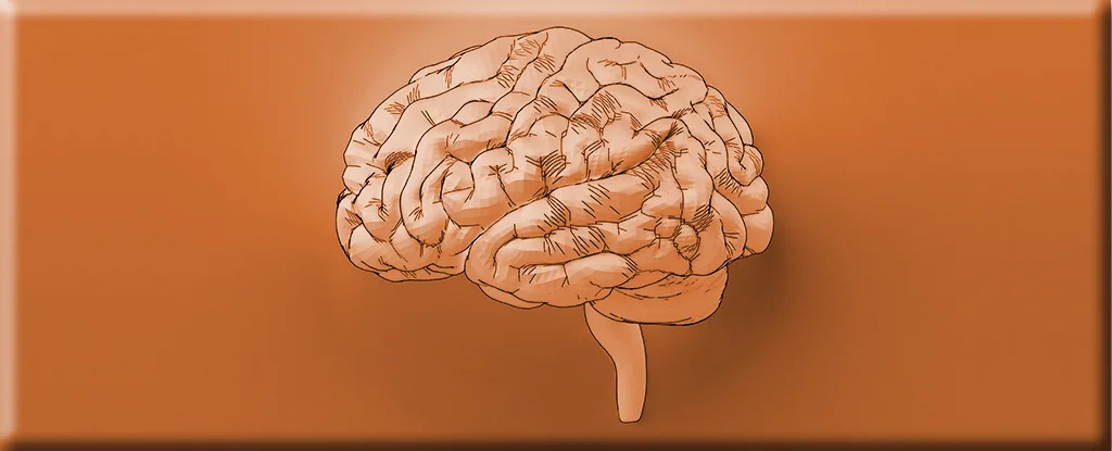 Misin gözlənilməz sağlamlıq faydaları ortaya çıxıb