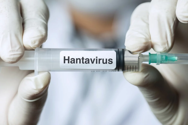 Tozla gələn ölüm - Hantavirus haqqında nə bilmək lazımdır?