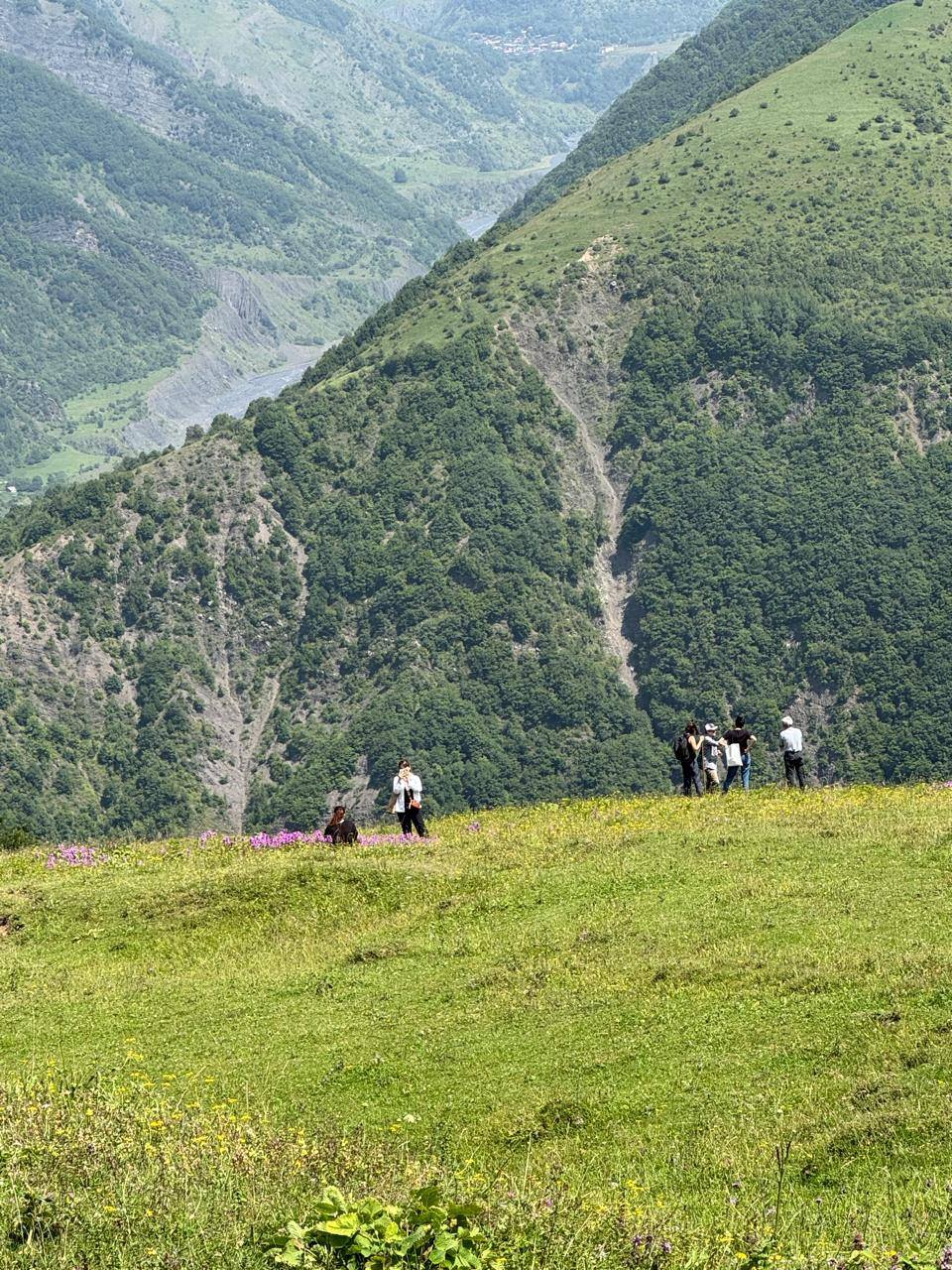 Azərbaycanın zəngin xalq təbabəti təcrübəsini dünyada tanıtmaq məqsədilə tədqiqatlar aparılır