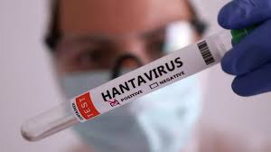 Fransada hantavirusa ilk yoluxma halı qeydə alınıb  