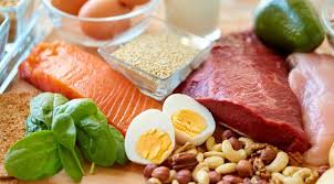 Protein sağlam qalmaq üçün vacib qida maddəsidir - Fərhad Burzu