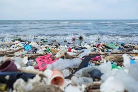 Alimlər komanda ilə özü-özünü məhv edə bilən “canlı plastik” hazırlayıblar  