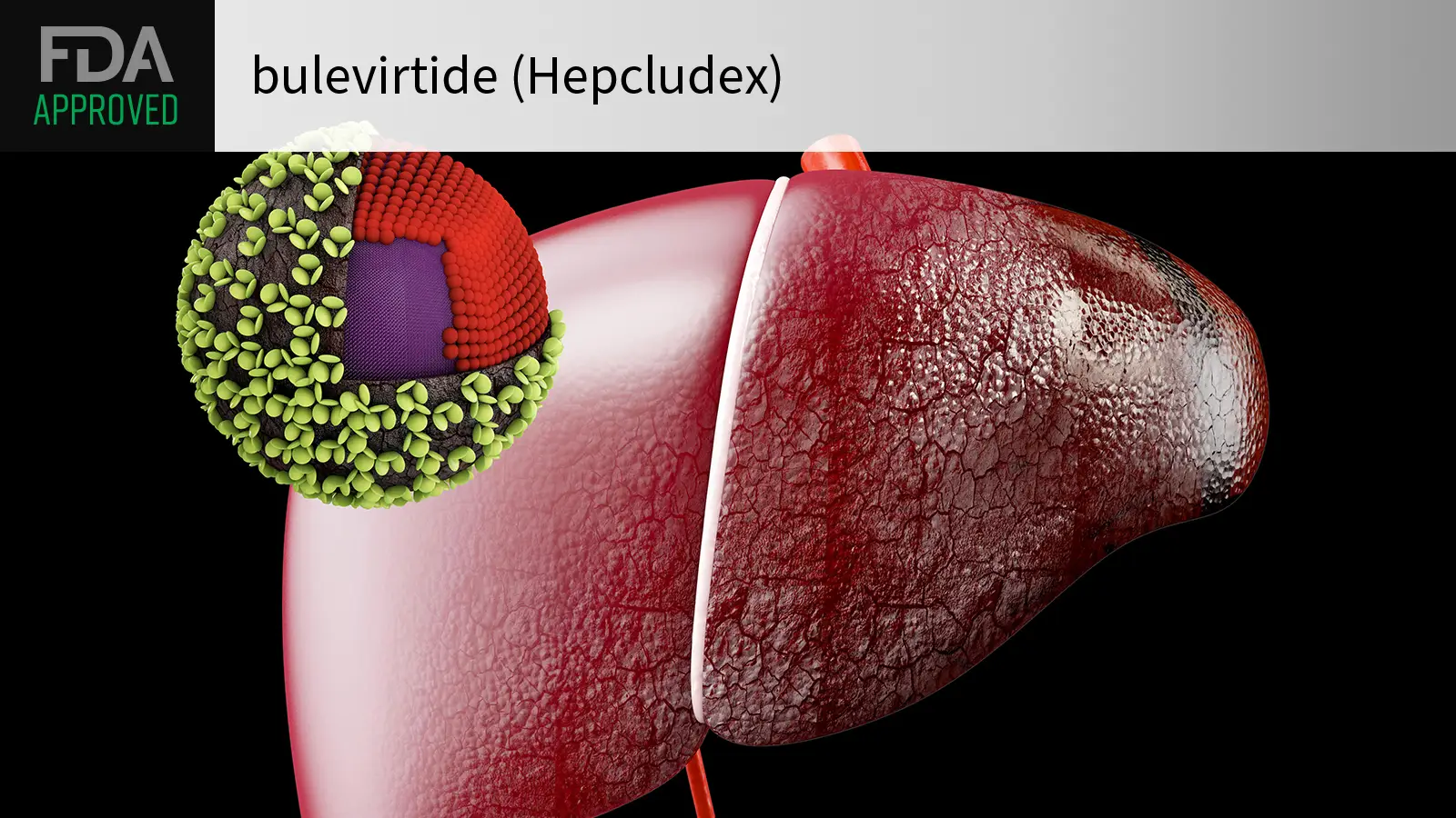 Xroniki Hepatit D üçün yeni müalicə imkanı