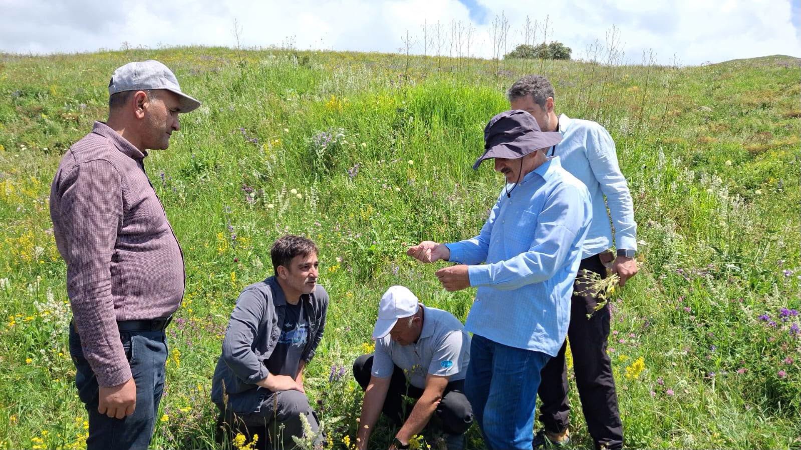  Batabatda aparılan tədqiqatlar nəticəsində iki yeni bitki növü aşkarlanıb   