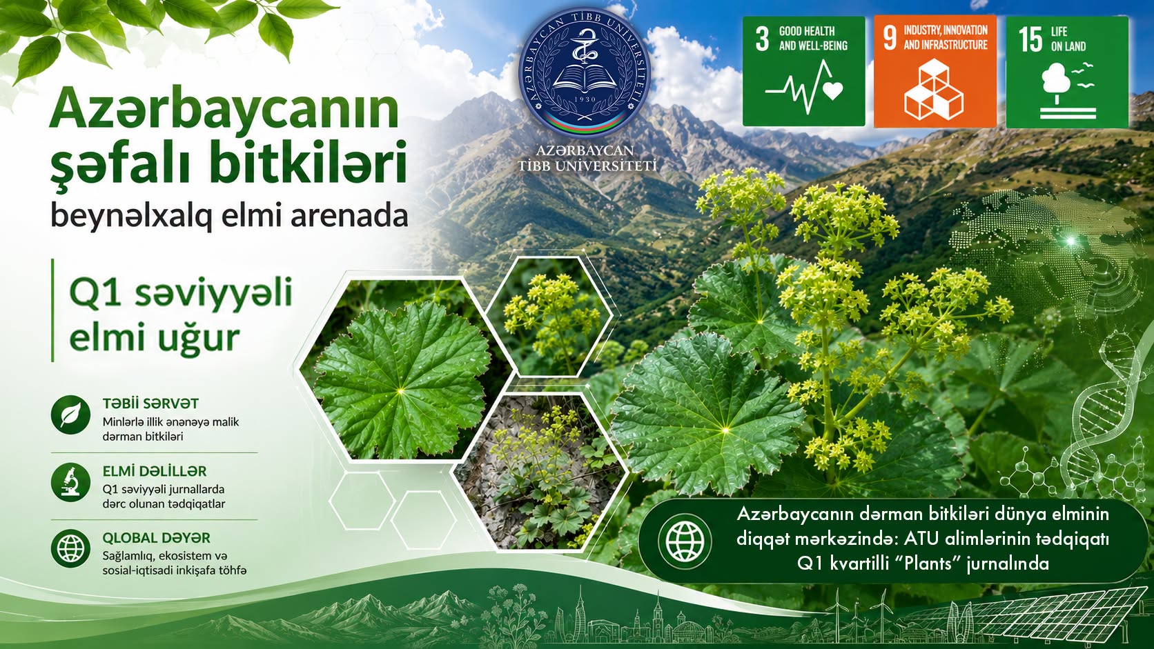  Azərbaycanın dərman bitkiləri dünya elminin diqqət mərkəzində 