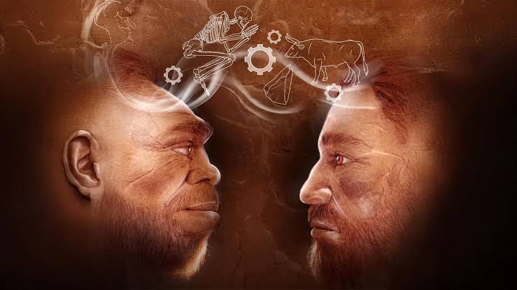Neandertallarla Homo sapiens arasında təkcə mədəniyyət deyil, sağlam həyat vərdişləri də ortaq olub