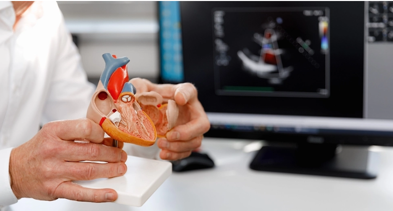 3D bioprintinq texnologiyası istiqamətində yeni addım  - Rusiyada ilk milli standart tətbiq olunacaq