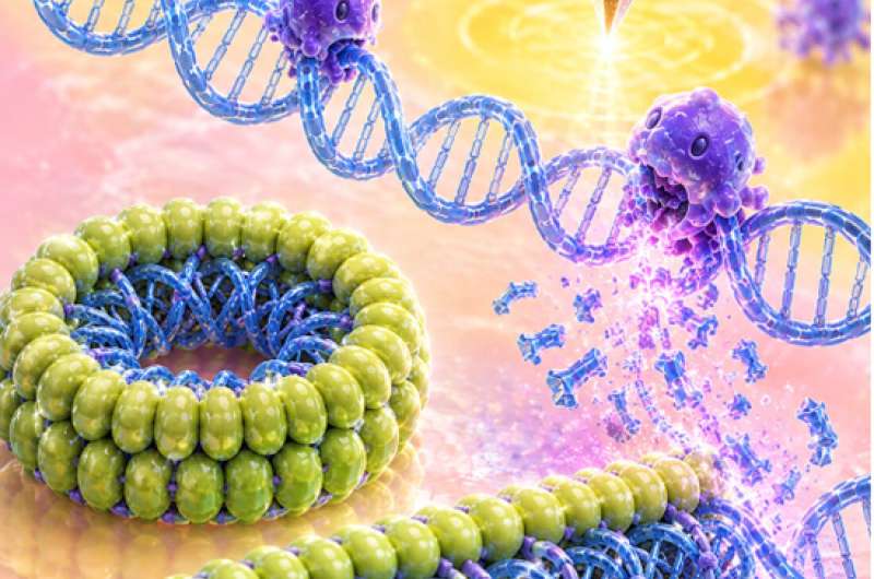 Alimlər molekulları izləmək üçün yeni nanoölçülü texnologiya hazırlayıblar  