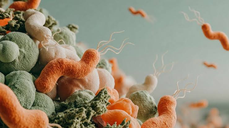 Mədə xərçənginin əsas səbəblərindən birinə qarşı yeni probiotik yanaşma
