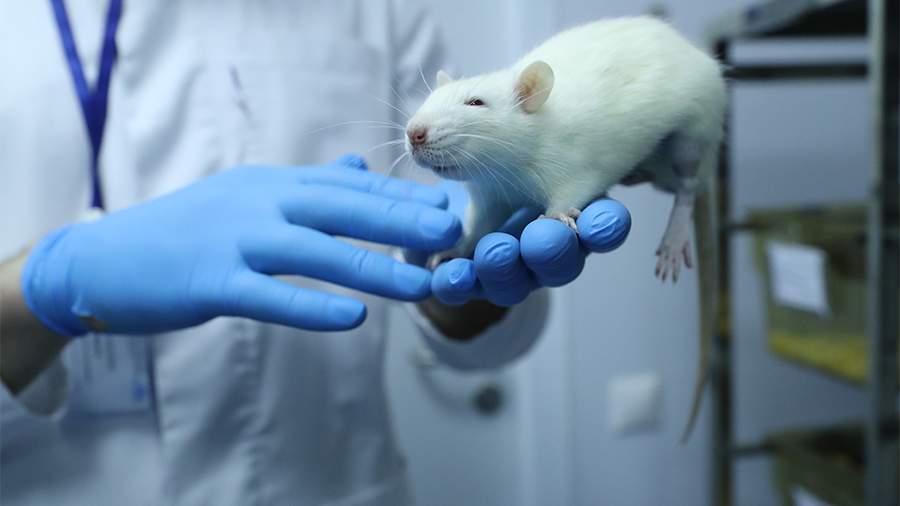 Cell Reports: Eyni məşqlərcinsə görə qaraciyərində fərqli metabolik dəyişikliklər yaradır
