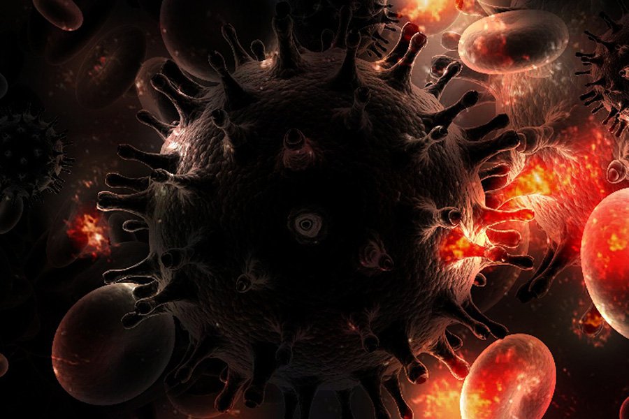 Dünya şəhərlərində minlərlə naməlum virus gizlənir